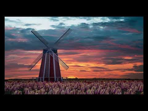 Windmill Calm